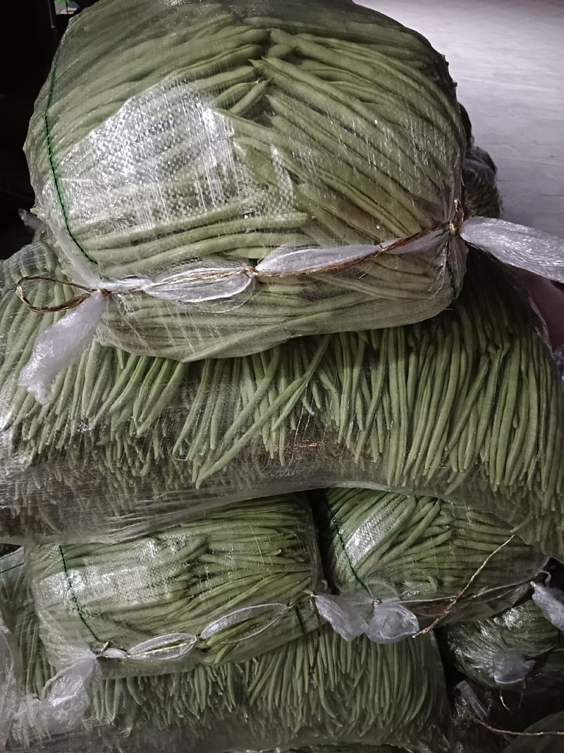 精品小金豆四季豆产地直供货源充足价格实惠欢迎联系