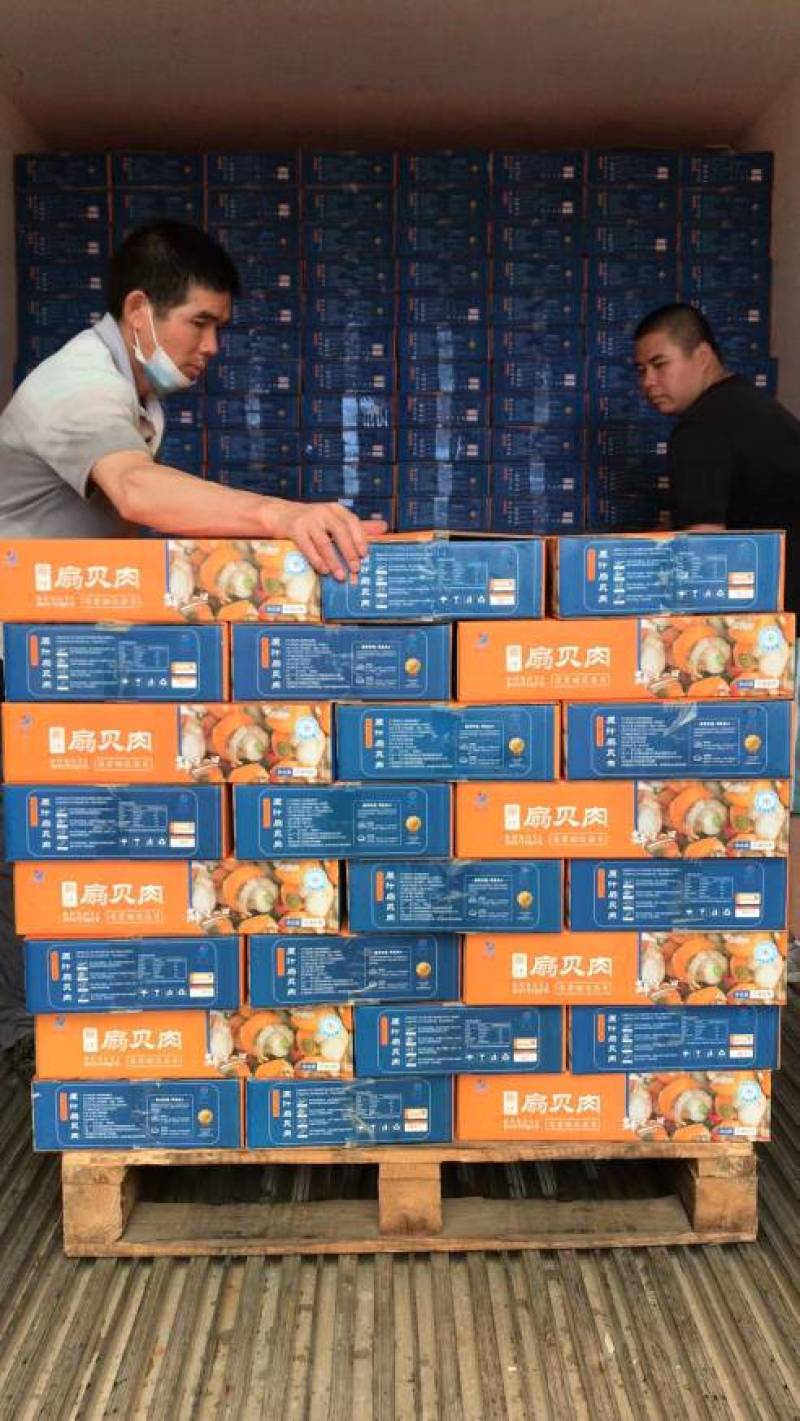 扇贝肉，扇贝，皇贝肉，贝肉