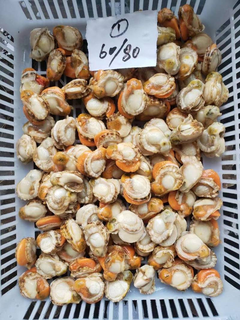 扇贝肉，扇贝，皇贝肉，贝肉
