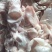 365天有货，无气花白鲢鱼泡新鲜，保证新鲜少油，无杂泡。