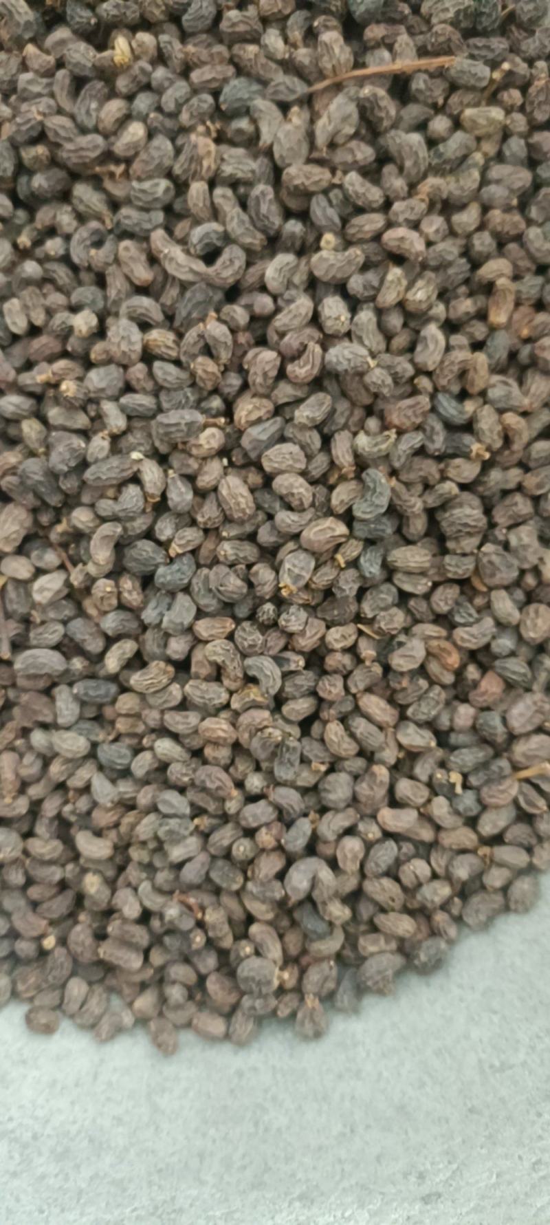 女贞子，一手货源，大货供应，全国发货，支持在线下单