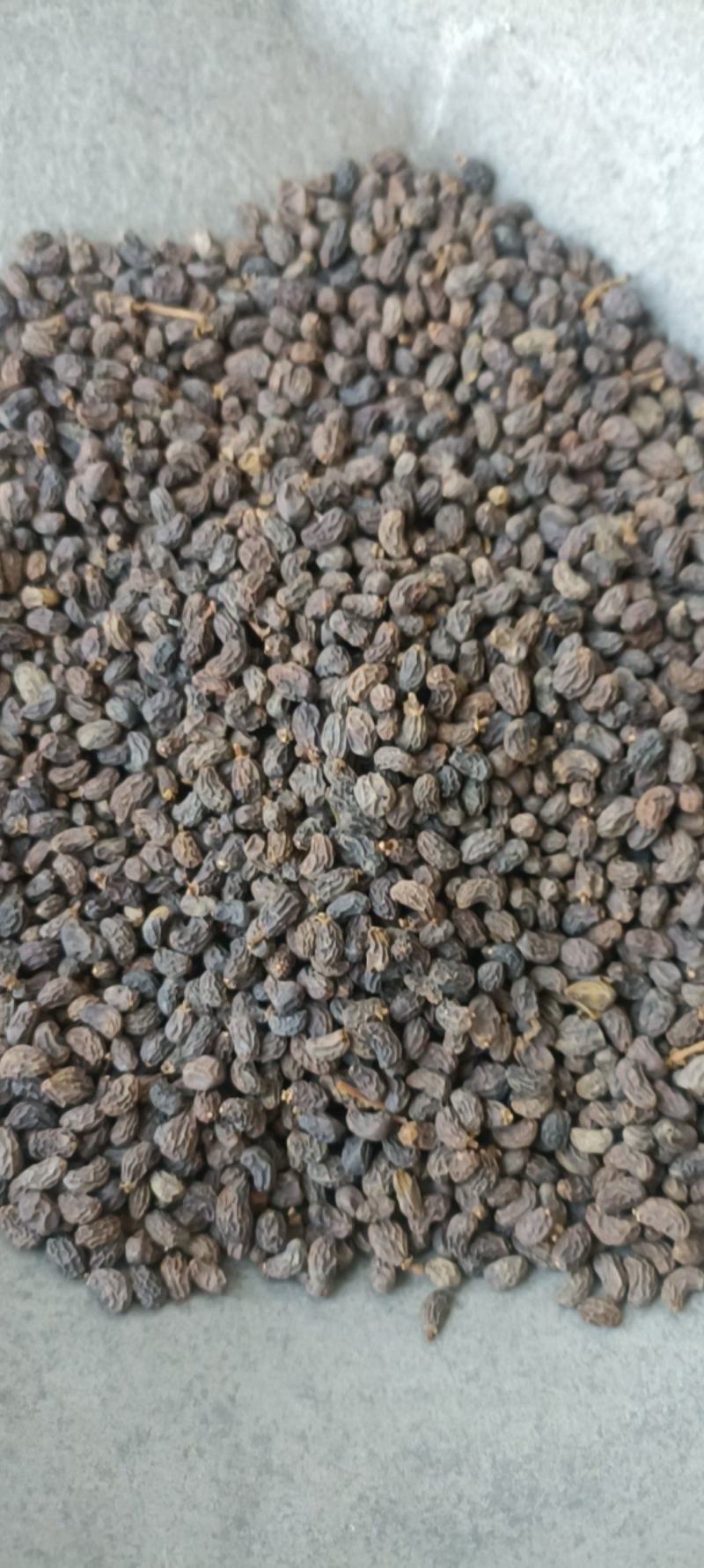 女贞子，一手货源，大货供应，全国发货，支持在线下单