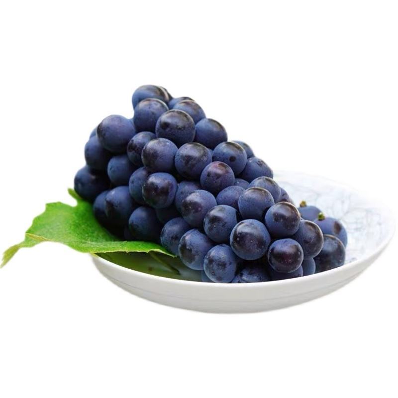 【品质保证】优质夏黑葡萄，大量供应，现摘现发物美价廉