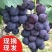 【品质保证】优质夏黑葡萄，大量供应，现摘现发物美价廉