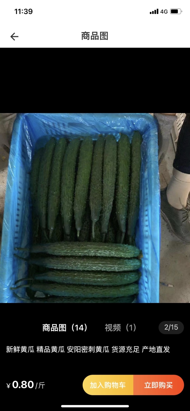 黄瓜大量上市供应市场超市电商平台一手货源