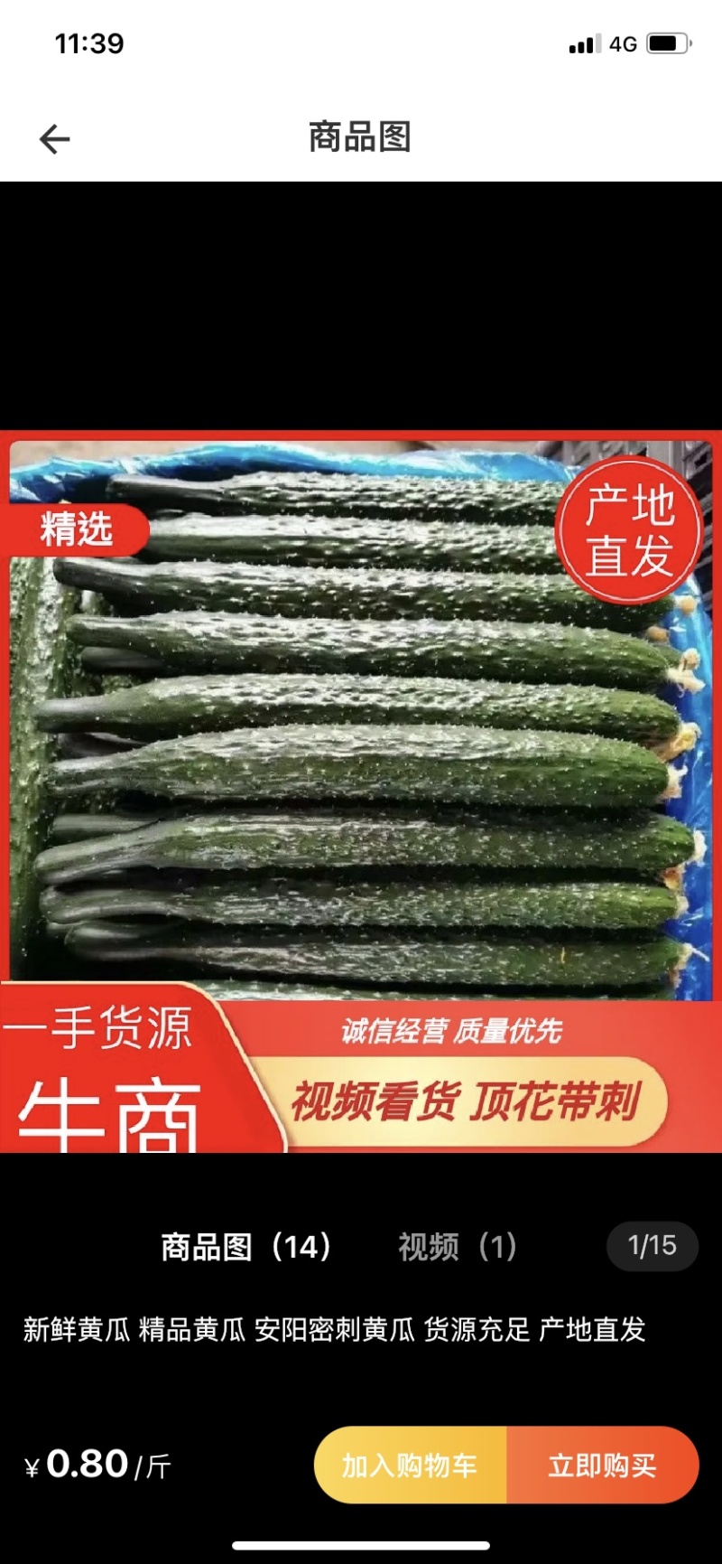 黄瓜大量上市供应市场超市电商平台一手货源