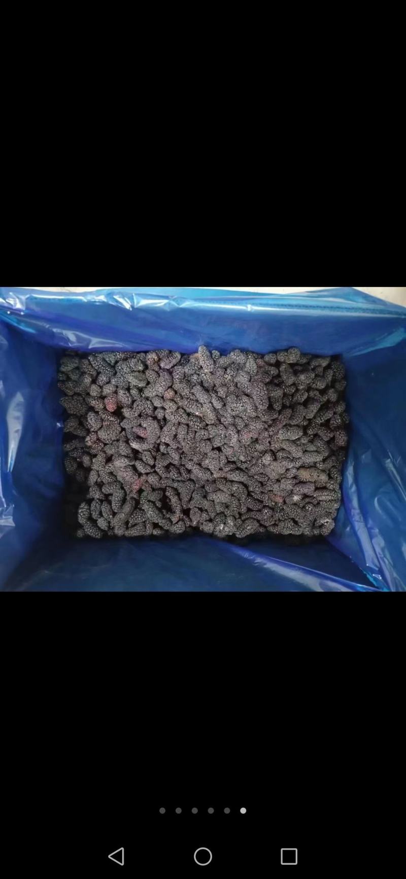 桑椹冻品