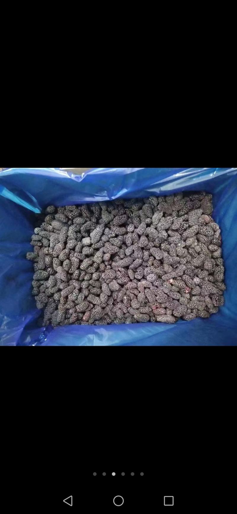 桑椹冻品