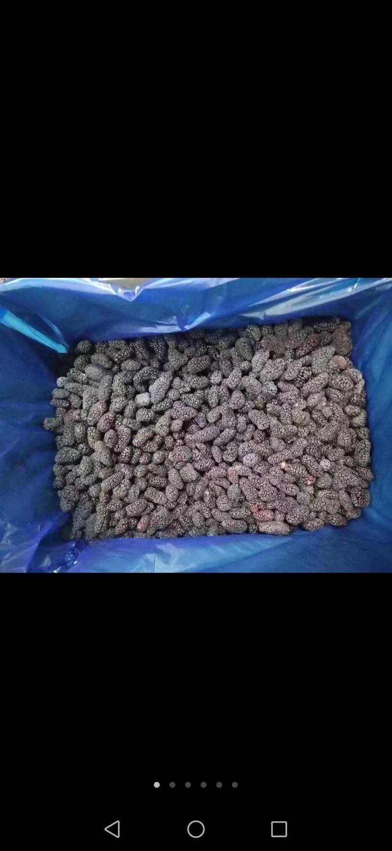 桑椹冻品