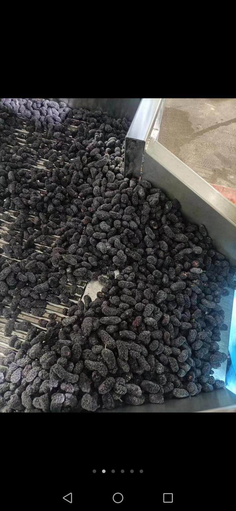 桑椹冻品