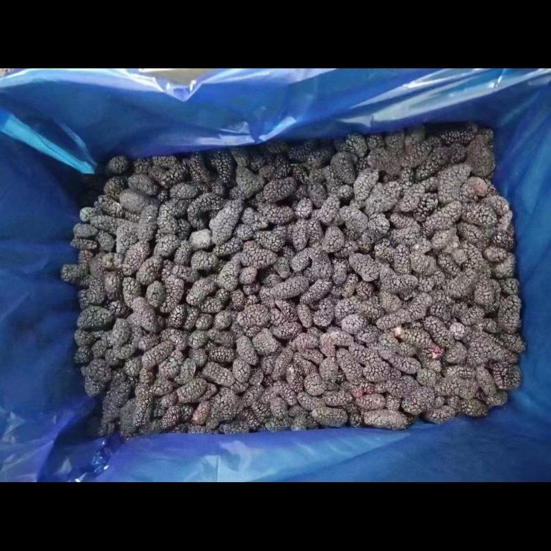 桑椹冻品