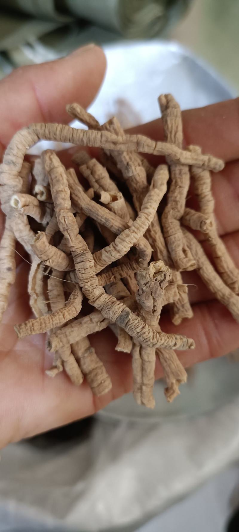 远志，产地山西，道地药材，规格齐全，欢迎选购，支持在线下
