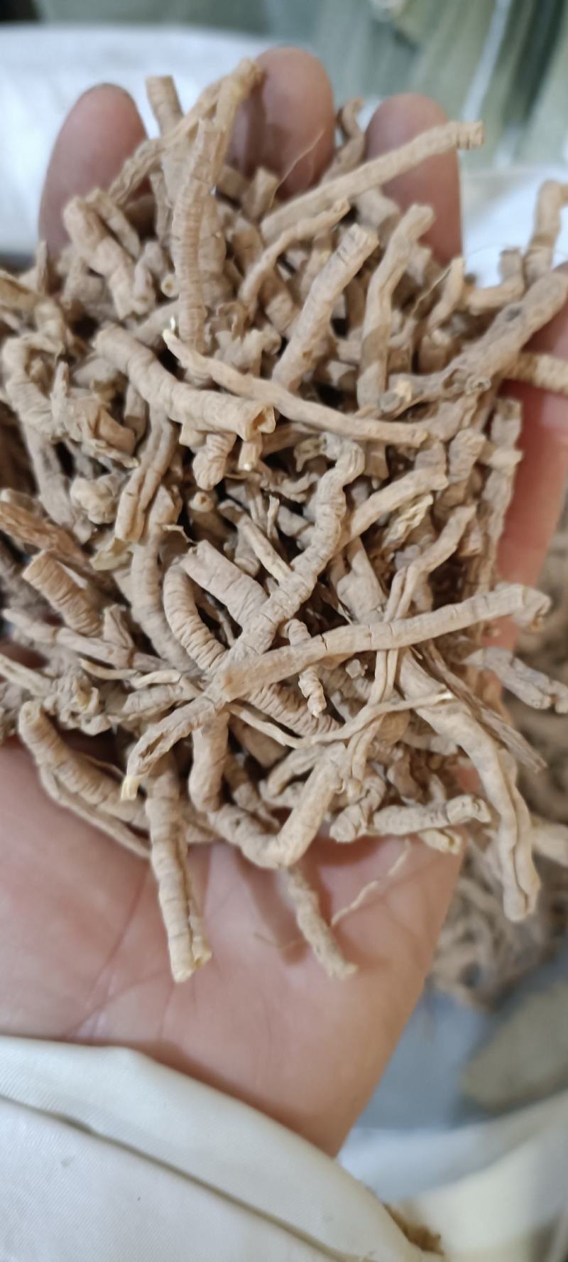 远志，产地山西，道地药材，规格齐全，欢迎选购，支持在线下