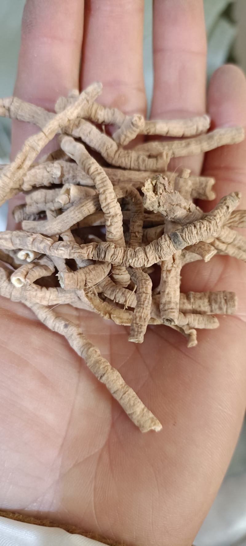 远志，产地山西，道地药材，规格齐全，欢迎选购，支持在线下