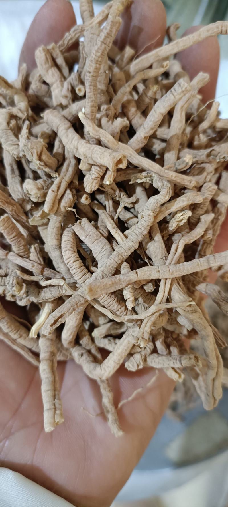 远志，产地山西，道地药材，规格齐全，欢迎选购，支持在线下