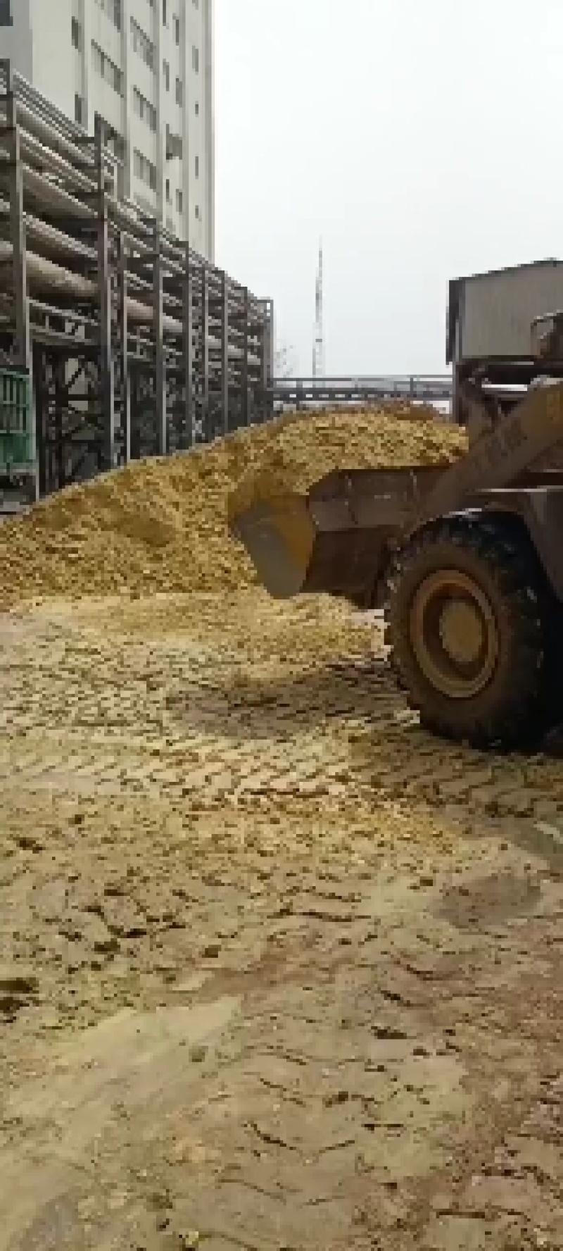 酒糟渣！纯玉米下角料酸甜可口适合牛羊猪鹅鱼等！