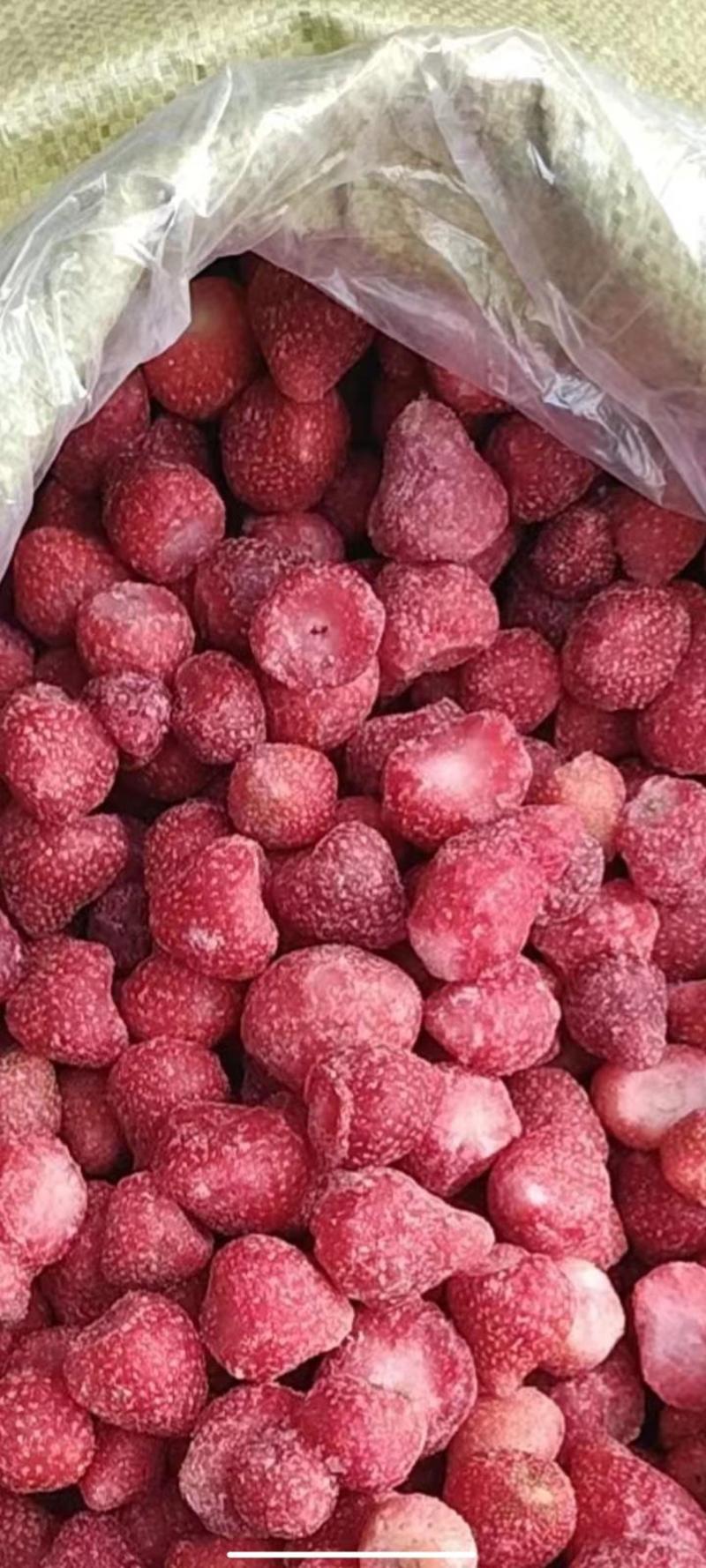 2023年新季节速冻草莓