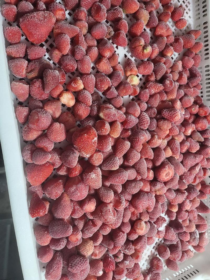 2023年新季节速冻草莓