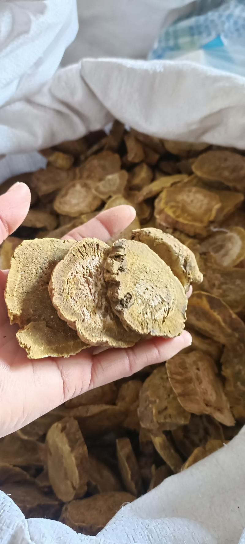 大黄，选装大黄，规格齐全，大货供应，全国发货，欢迎选购