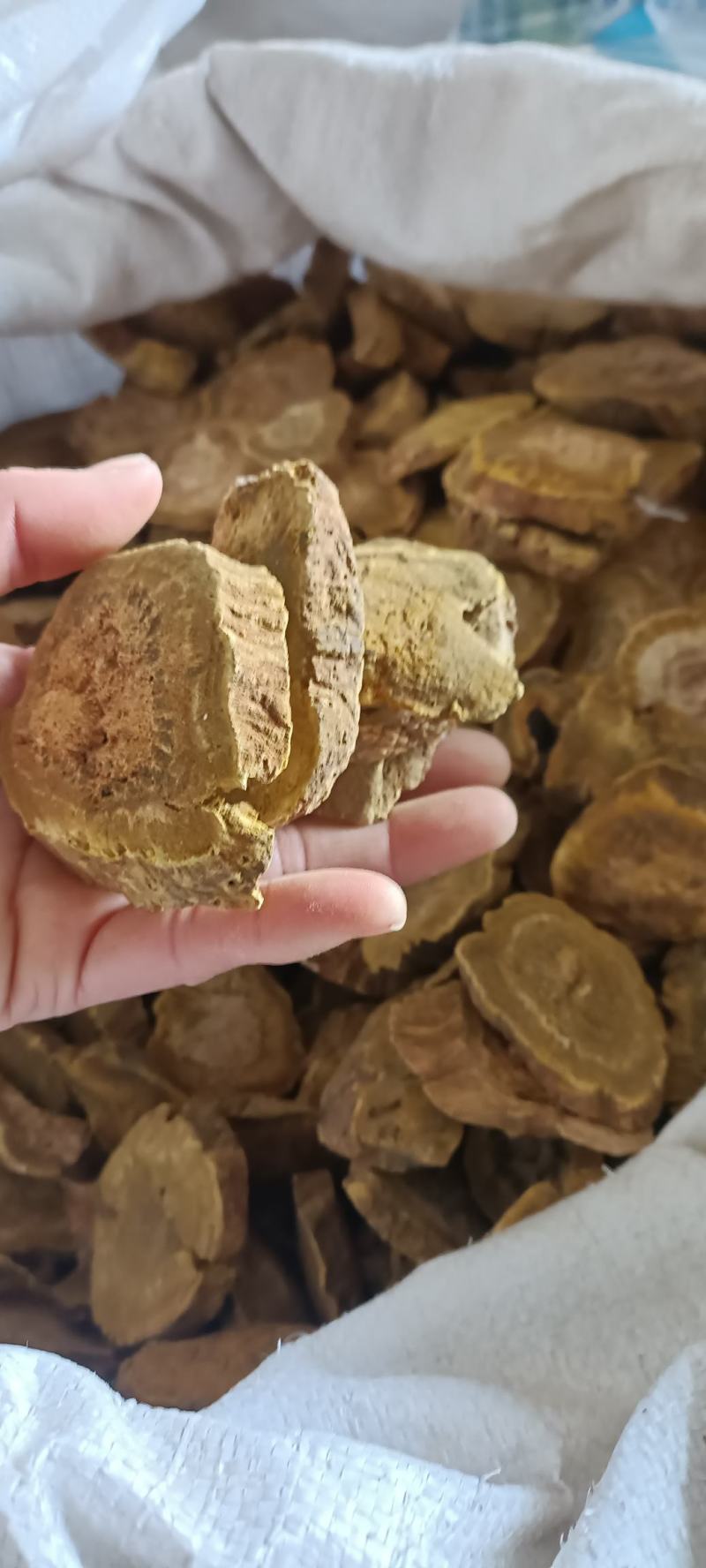大黄，选装大黄，规格齐全，大货供应，全国发货，欢迎选购
