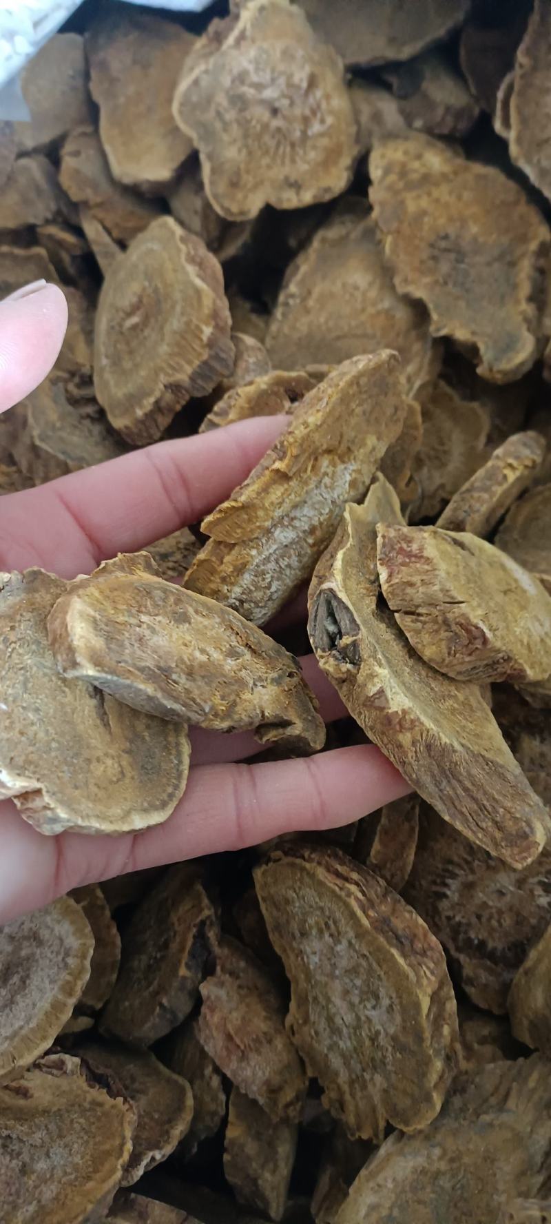 大黄，选装大黄，规格齐全，大货供应，全国发货，欢迎选购