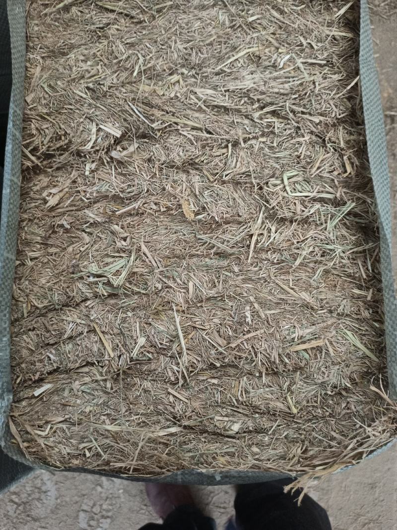 青贮草，花生苗牧业饲料