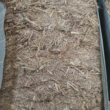 青贮草，花生苗牧业饲料