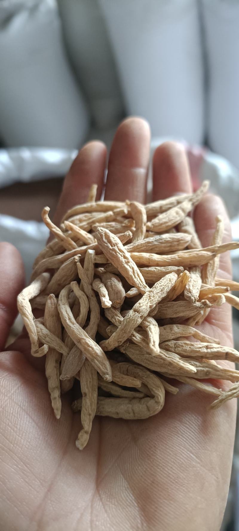 太子参，水洗无硫，干净无杂质，道地药材，支持在线下单