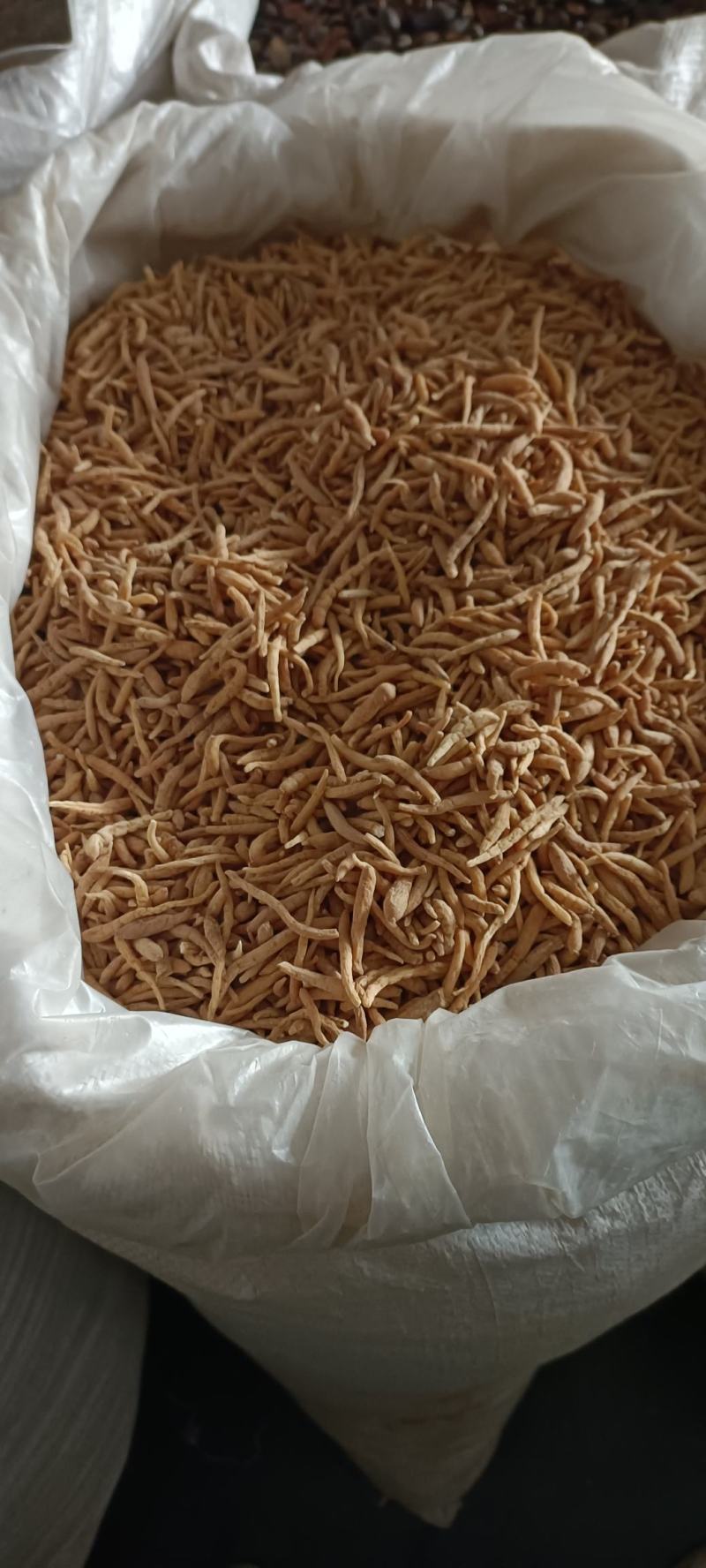 太子参，水洗无硫，干净无杂质，道地药材，支持在线下单