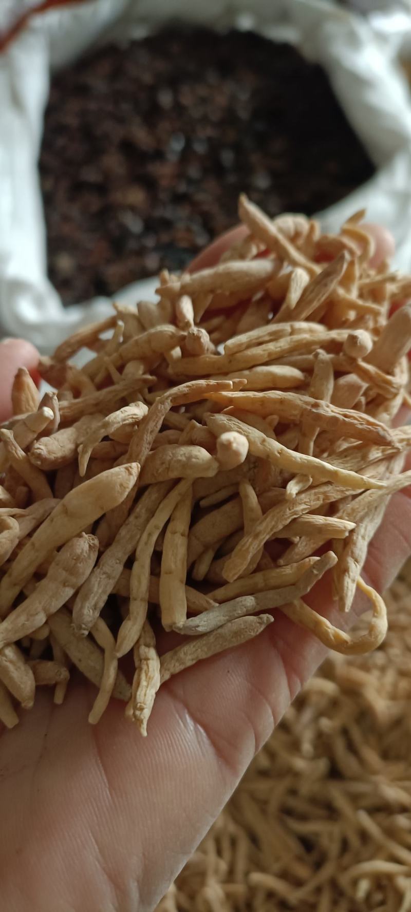 太子参，水洗无硫，干净无杂质，道地药材，支持在线下单