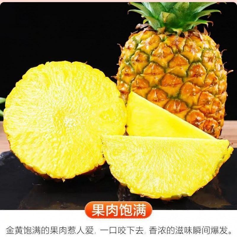 金钻凤梨海南17号代办发市场水果店团购一件代发等