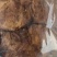 猪肉片，猪肉条牛肉味实足五香麻辣展会跑江湖休闲零食