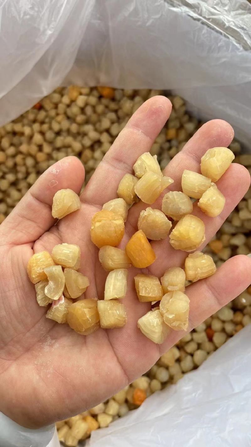 【推荐】300头淡口足干大连干贝干瑶柱元贝（纯淡口足干）