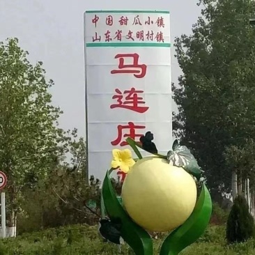 4月份甜瓜上市质量保证欢迎各地市场商超合作，一件代发