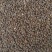 沙苑子沙苑子各种规格中药材批发零售沙苑子