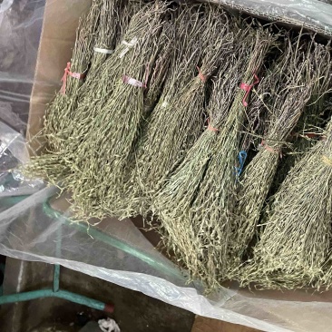 青绿独脚金
