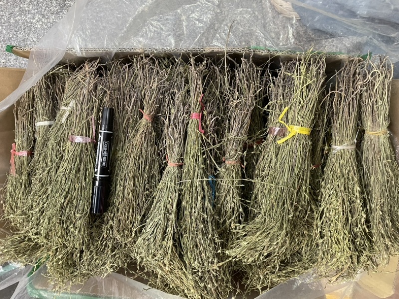 青绿独脚金
