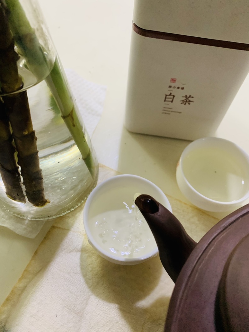 春已至花将开新茶上市每一口都是春天的味道