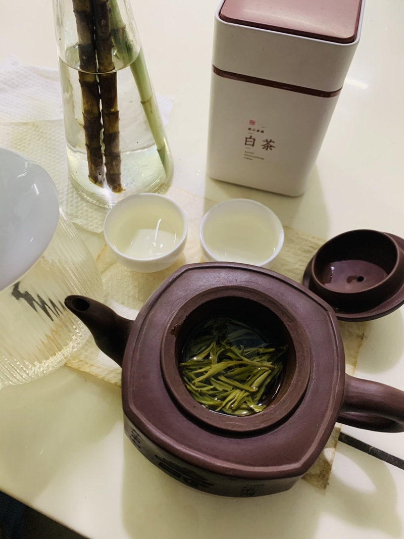 春已至花将开新茶上市每一口都是春天的味道