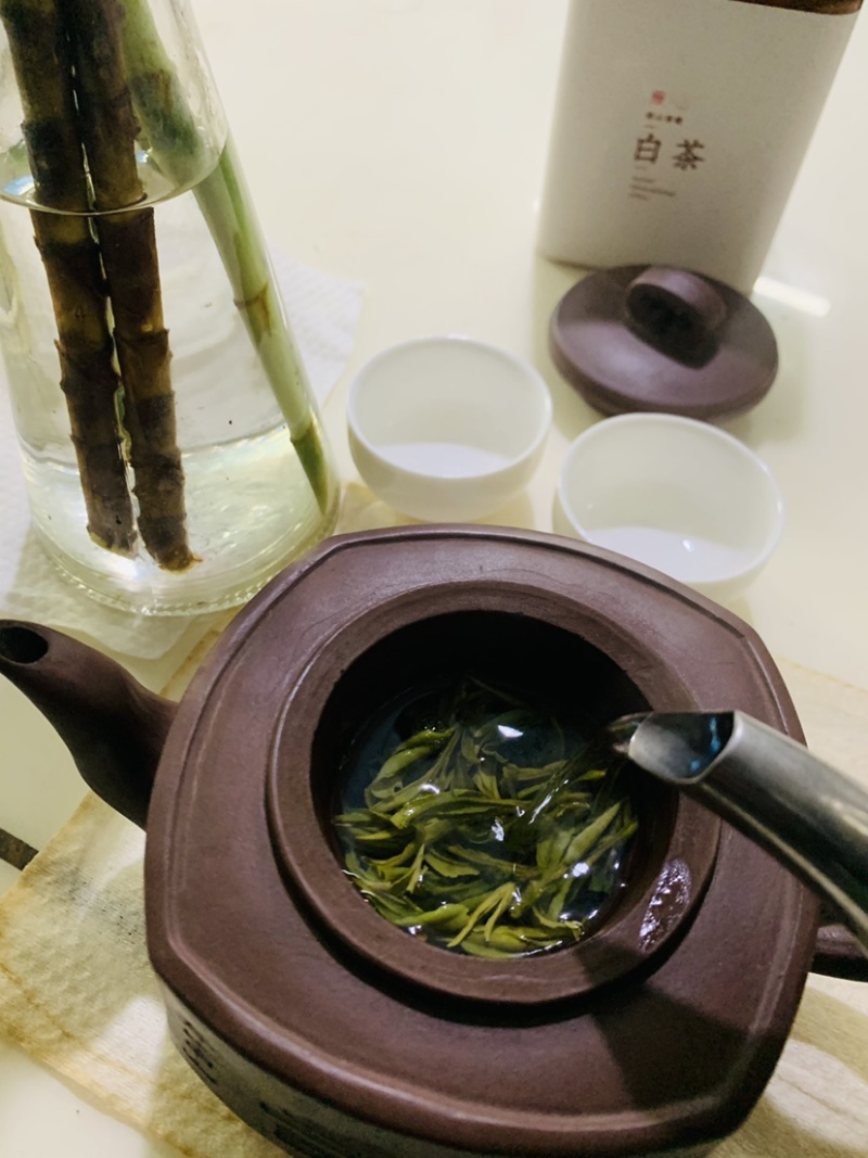 春已至花将开新茶上市每一口都是春天的味道