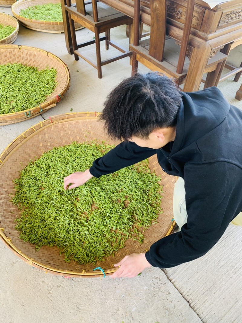 春已至花将开新茶上市每一口都是春天的味道