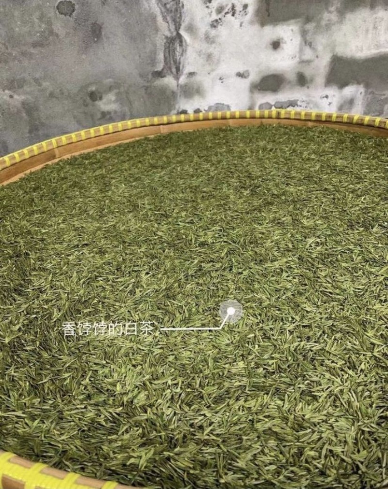 春已至花将开新茶上市每一口都是春天的味道