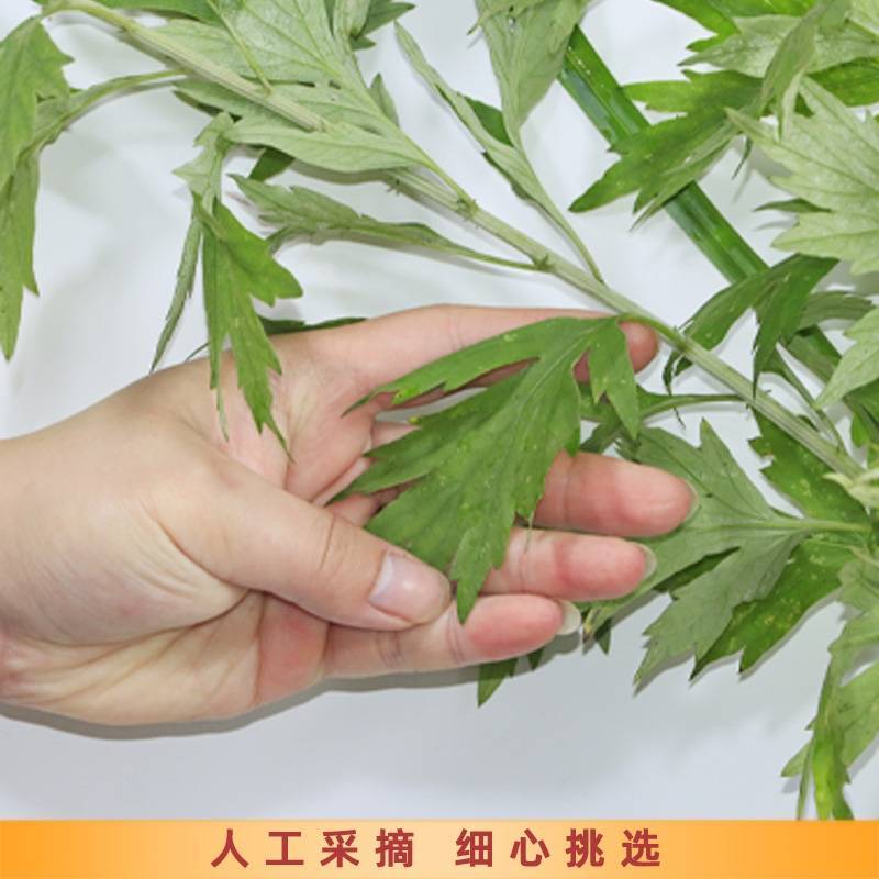 端午节新鲜艾草水菖蒲民间习俗货源稳定产地直发整车走货