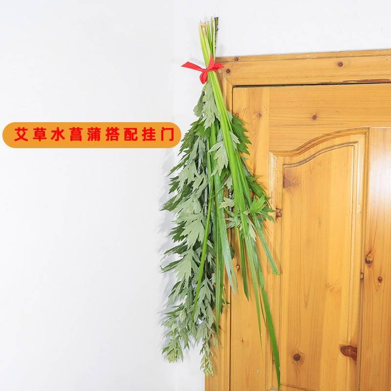 端午节新鲜艾草水菖蒲民间习俗货源稳定产地直发整车走货