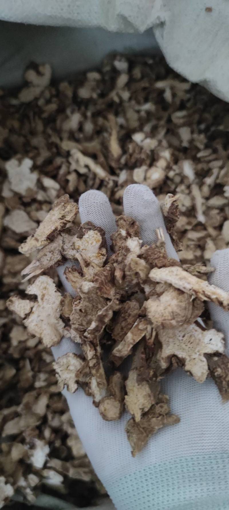 苍术东北苍木北苍术纯干无硫现货批发零售