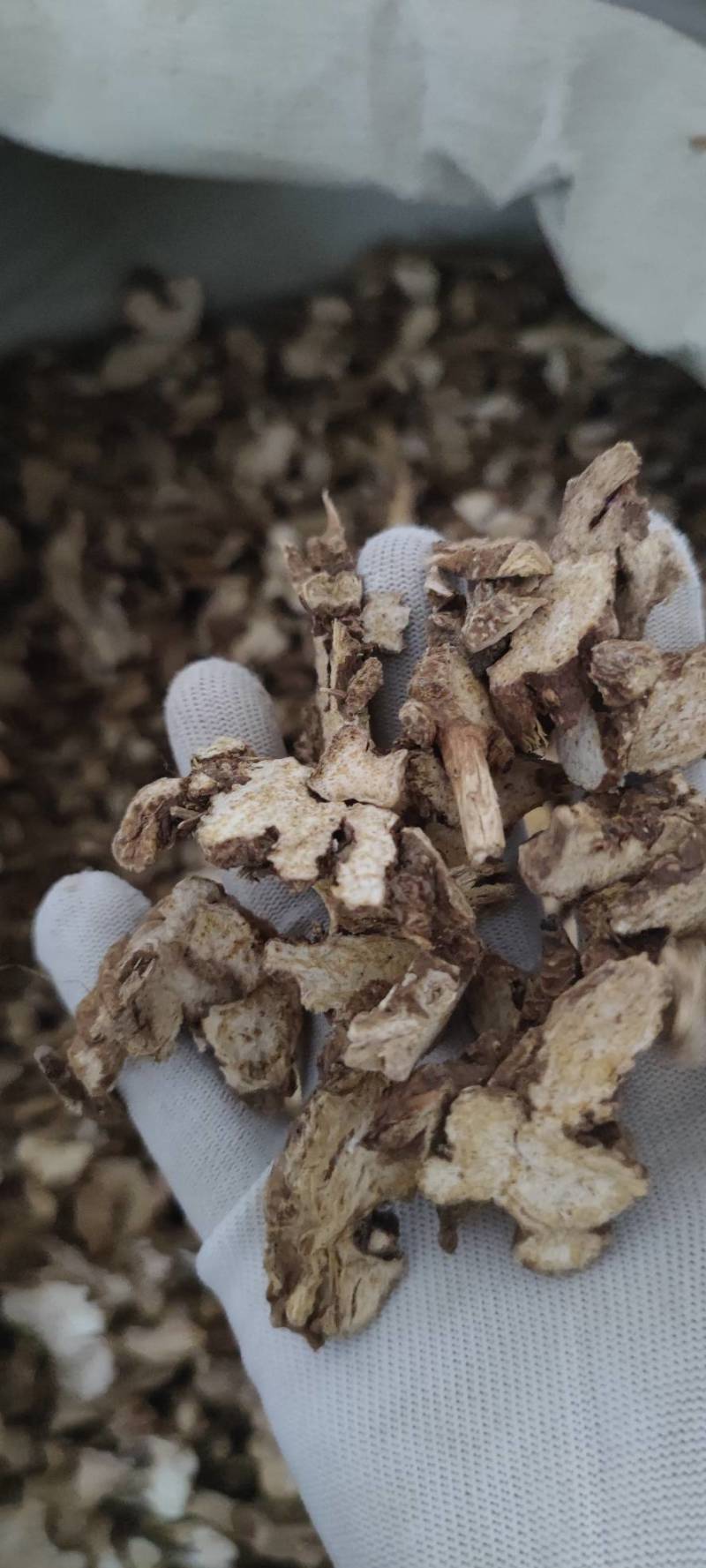 苍术东北苍木北苍术纯干无硫现货批发零售