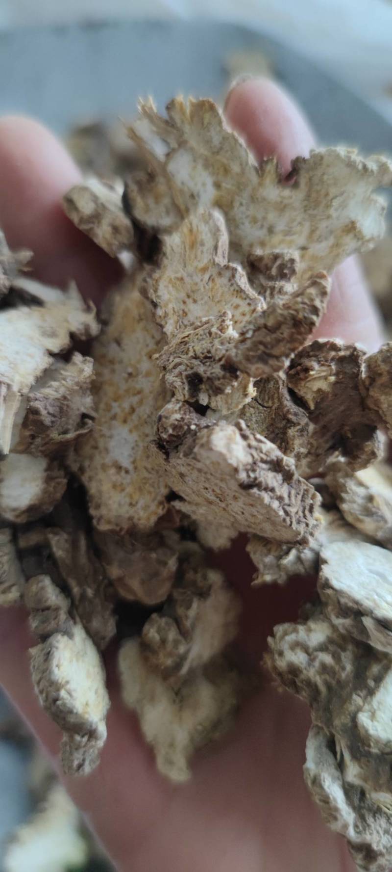 苍术东北苍木北苍术纯干无硫现货批发零售