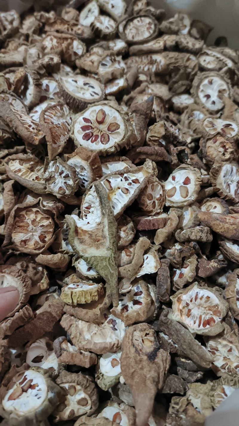 八月扎预知子干货今天新货八月札大量现货一手货源