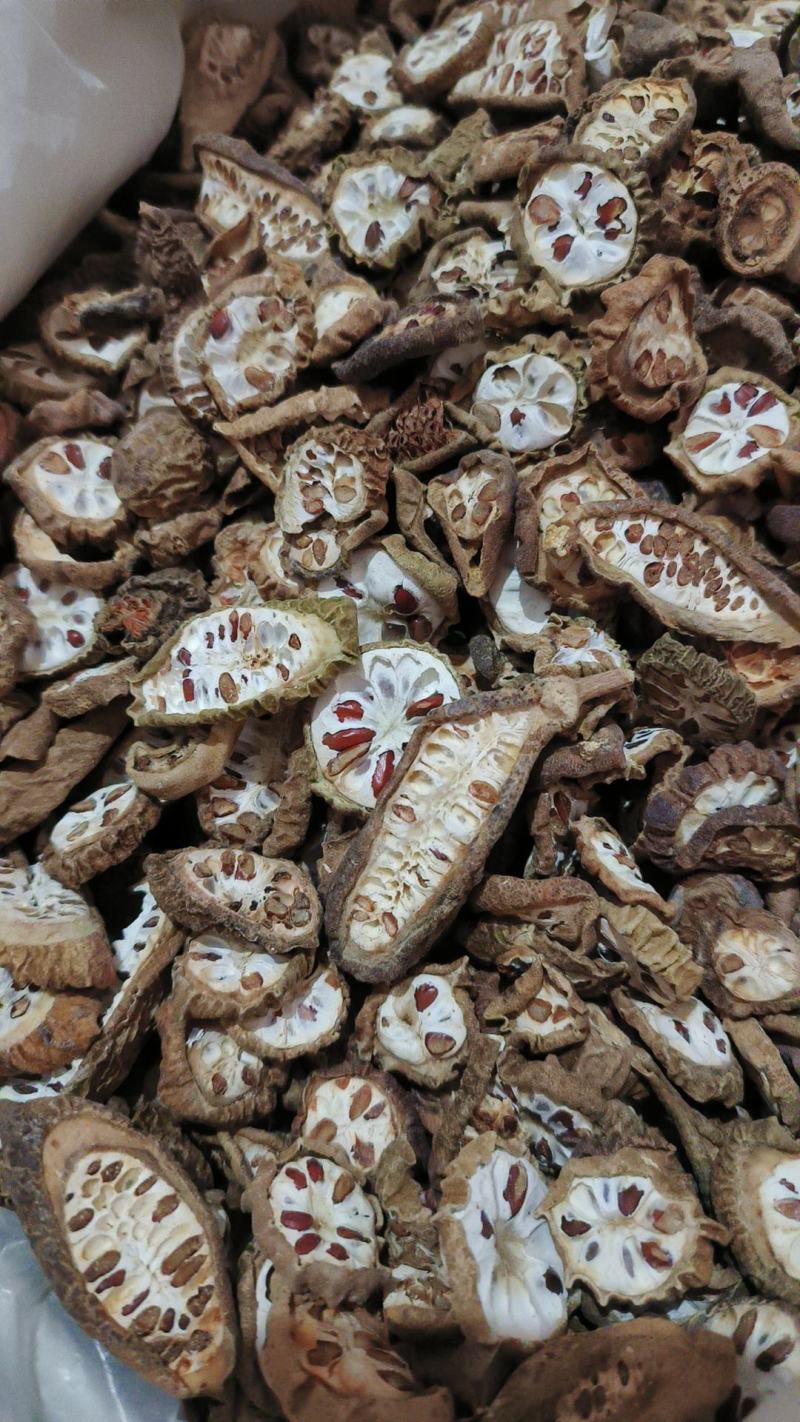 八月扎预知子干货今天新货八月札大量现货一手货源