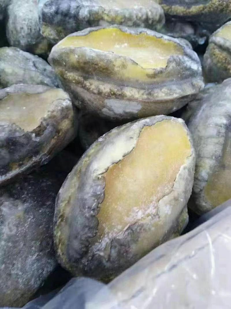热销中山东威海冻鲍鱼，产地一手货源批发，不挂冰，量大价优